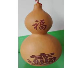 葫17《天然植物招财大葫芦》