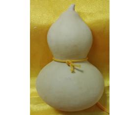 葫1《天然植物白色小葫芦》