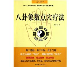 正384《八卦象数点穴疗法》李山玉