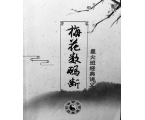 文368《梅花数码断星火班经典讲义》陈春林 
